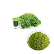 Manufacturers supply natural green food grade pure barley juice powder